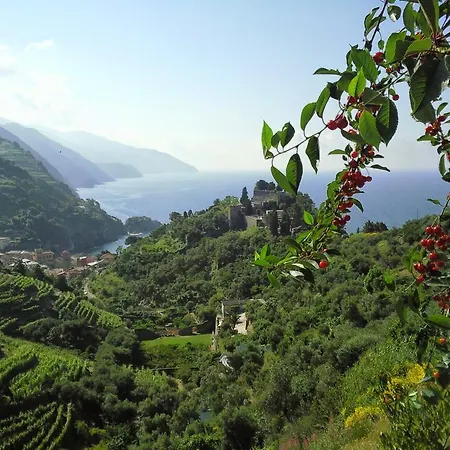 Nido Sul Mare Monterosso al Mare